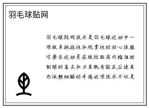 羽毛球贴网