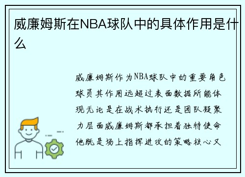 威廉姆斯在NBA球队中的具体作用是什么